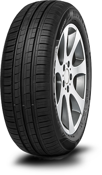 Minerva 209 Minerva 209