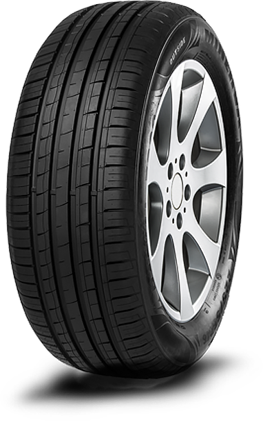 Minerva F209 Minerva F209