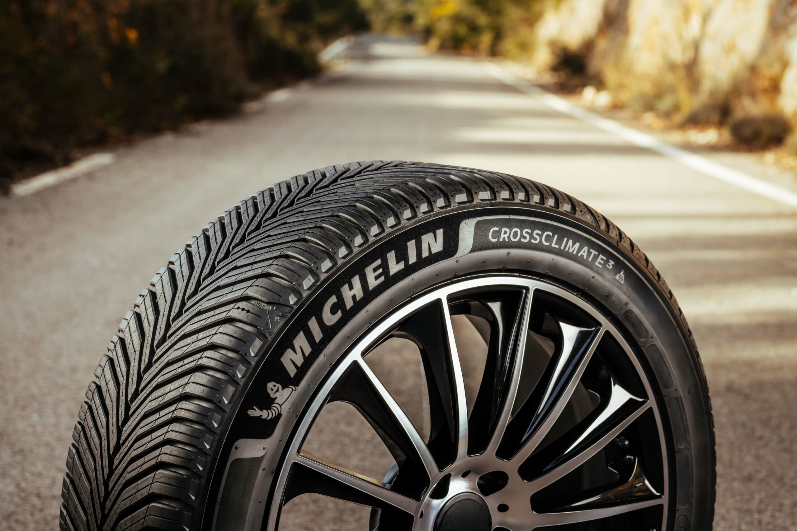 MICHELIN CrossClimate