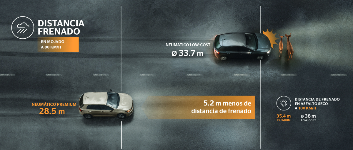 neumaticos premium