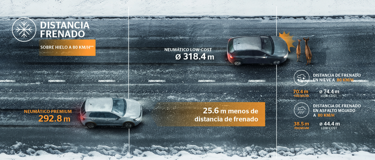 neumaticos premium